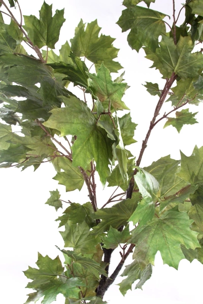 Sztuczny wysoki Klon zielony 175 cm