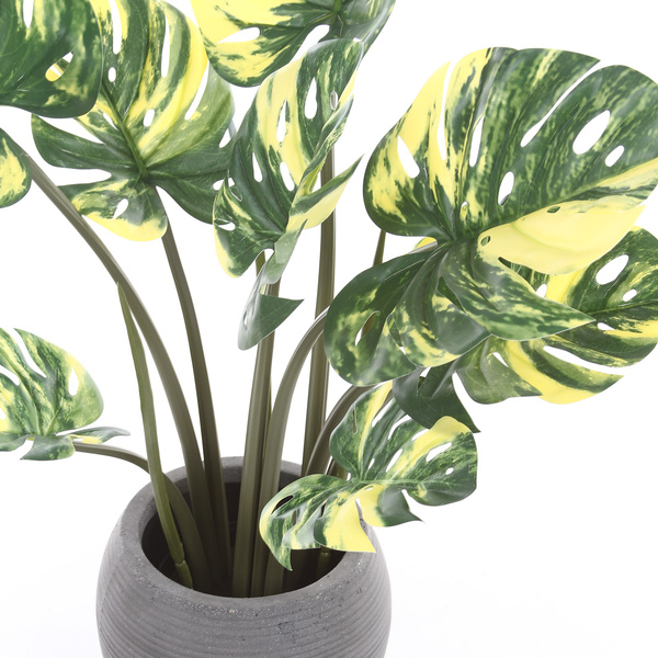 Sztuczna Monstera dziurawa Variegata żółta 60 cm