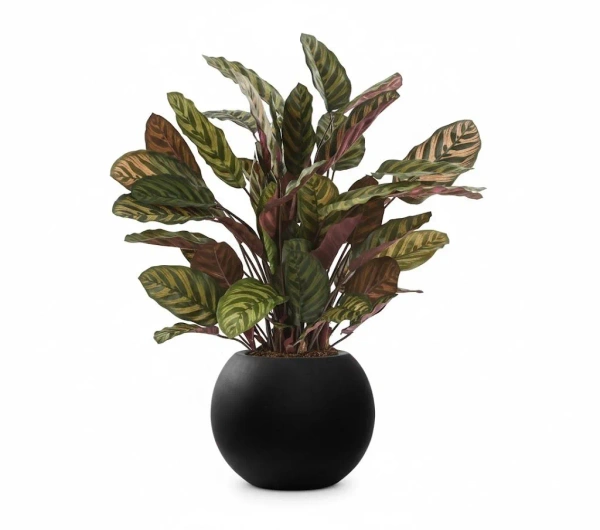 Sztuczna Kalatea gęsta czerwona 80 cm 65 liści