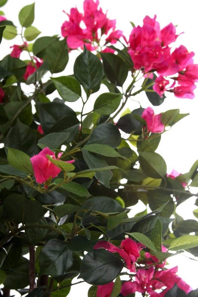 Sztuczna Bugenwilla z różowymi kwiatami 150 cm drewniany pień