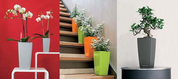 LECHUZA CUBICO MAXI 14x14/26 doniczka czerwona scarlet red z połyskiem