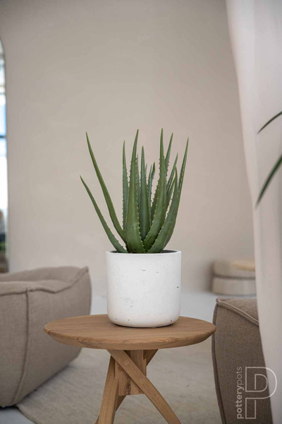 Charlie XXXS 8,5/7,5 biała doniczka kamienna na kaktusy