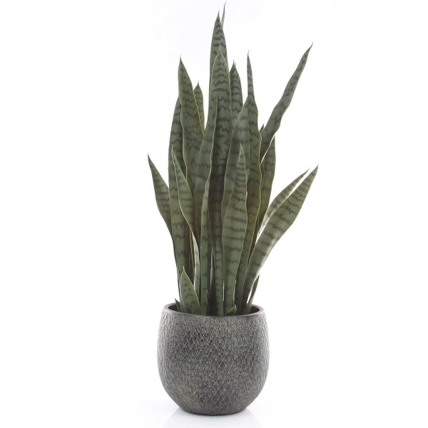 Madeira 16/16 kulista osłonka zielona we wzorki