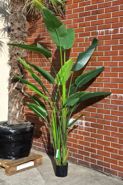 Sztuczna Strelicja nicolai wysoka 235 cm 18 liści