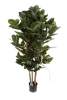Sztuczny Fikus Audrey na drewnianych pniach 155 cm deluxe
