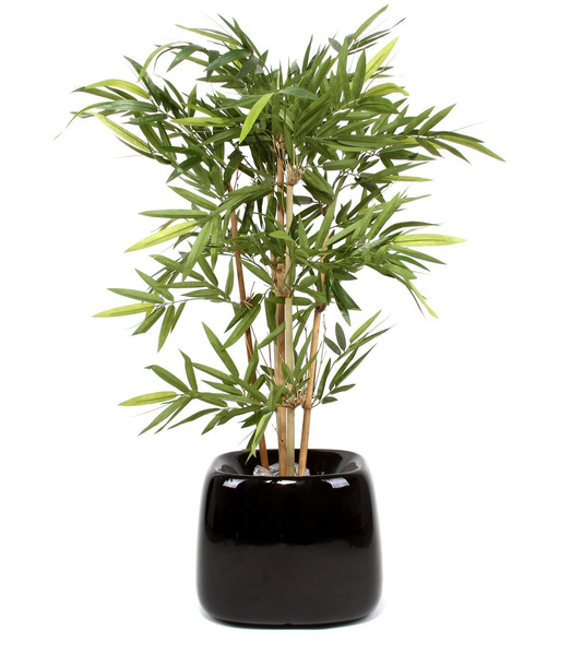 Sztuczny bambus 120 cm Tuft 512 liści naturalne łodygi bambusa