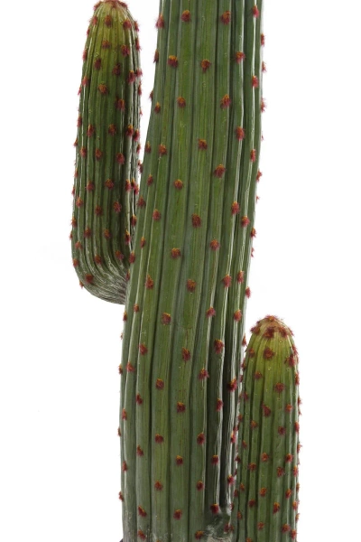 Sztuczny Kaktus Mexican 125 cm