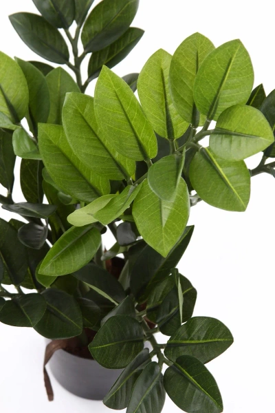 Sztuczny Zamiokulkas niski 55 cm