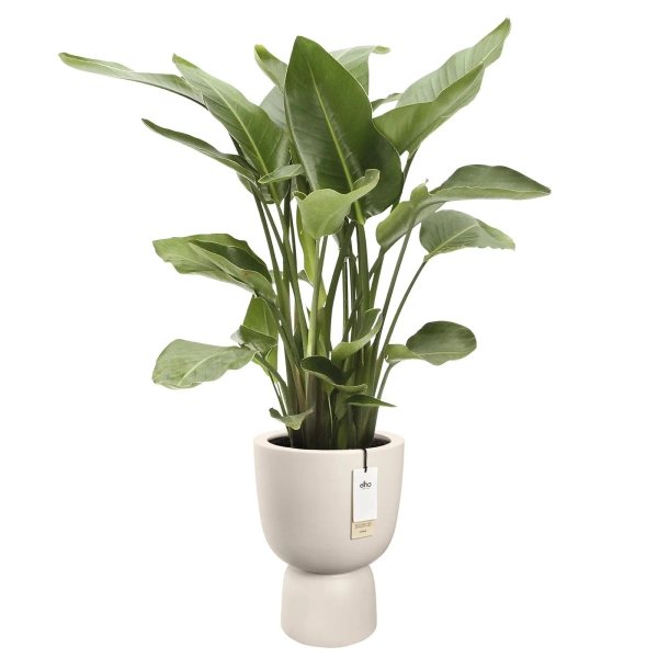 Amber Coupe Round 41/58 nowoczesna donica piedestał biała