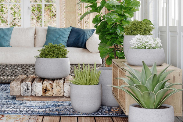 HEMERA Bowl 29/14 doniczka na bonsai ceramiczna antracytowa