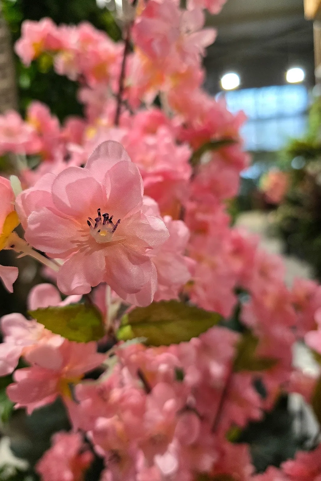 Sztuczne drzewko Wiśnia japońska 175 cm do salonu