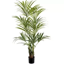 Sztuczna palma Kentia 200 cm wysoka