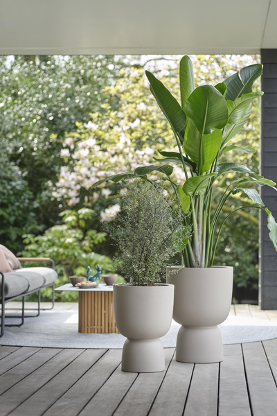 PURE COUPE ELHO 41/58 donica na postumencie beżowa