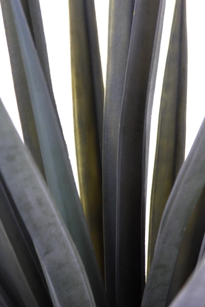 Sztuczna Agawa angustifolia 140 cm UV