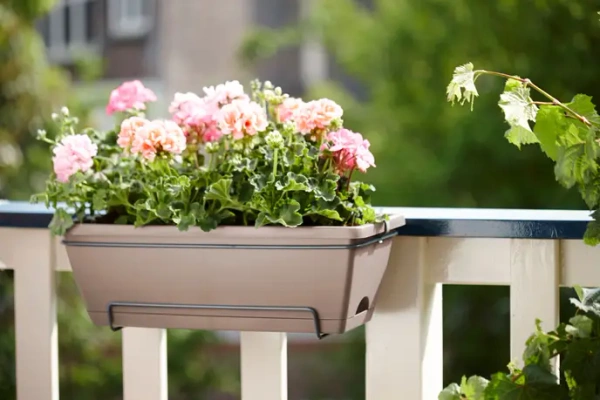 Barcelona Elho 50x29/21 doniczka balkonowa wisząca podłużna taupe