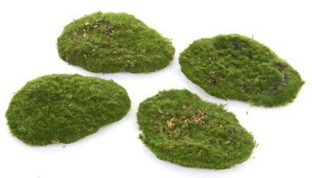 Sztuczny Mech 15 cm czteropak