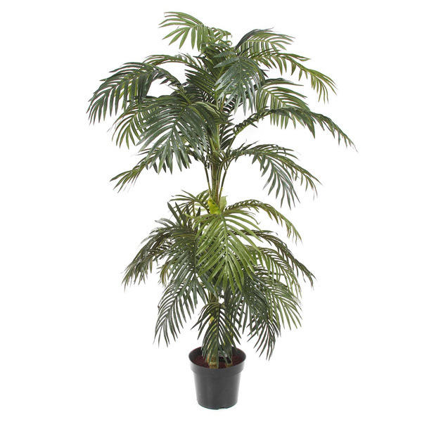 Sztuczna palma Areka 170 cm rozpiętość 145 cm