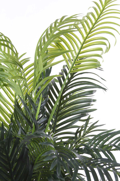 Sztuczna palma Areka 170 cm 9 pędów bardzo gęsta REAL TOUCH