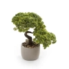 Sztuczny Bonsai Sedum Multiceps 25 cm w cementowej doniczce