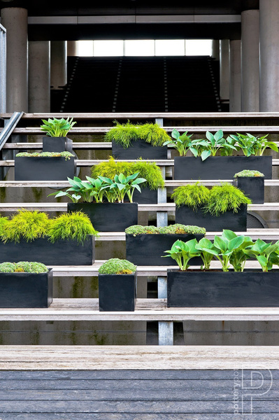 Balcony S 50x20/20 prostokątna doniczka czarna