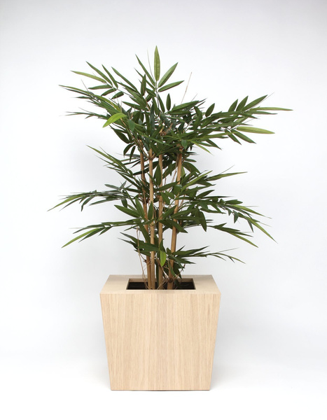 NATURA 45x45/40 donica z drewna dębowego jasna