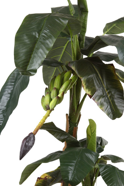 Sztuczny Banan 150 cm