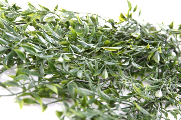 Sztuczny Bambus mix pnącze 80 cm UV Weather Proof