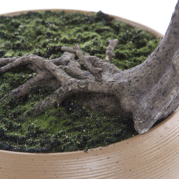 Sztuczny Bonsai Podocarpus Shankan 60/50 cm