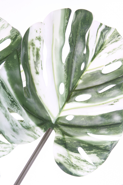 Sztuczna Monstera Variegata dziurawa zielono-biała 120 cm