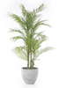 Sztuczna palma Chamedora 120 cm