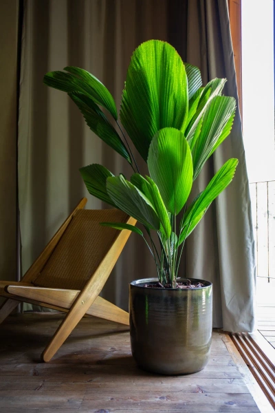 Jupiter 28/28 osłonka ceramiczna żółta autumn yellow