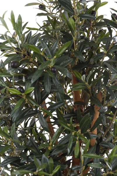 Sztuczna Oliwka Bonsai 150 cm deluxe