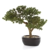 Sztuczny Bonsai Pinia Sosna 26 cm w czarnej doniczce