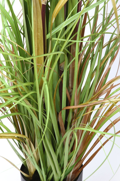 Sztuczna trawa Foxtail Plume 120 cm z kłosami