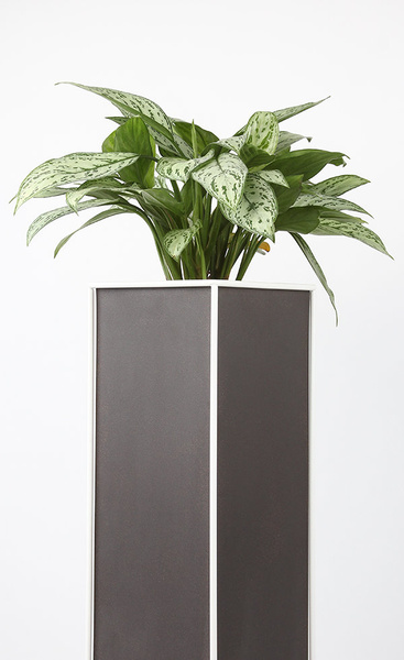 HALFUL 25 h130 donice na białym stelażu