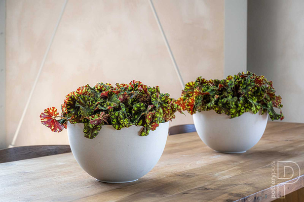 Peter S 20/12 doniczka misa kamienna zielona pine green