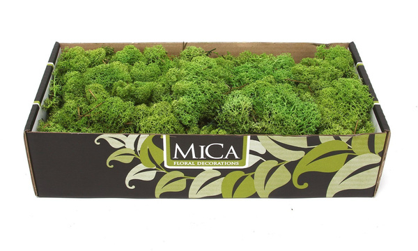 Sztuczny Mech Reniferowy chrobotek 500g zielony