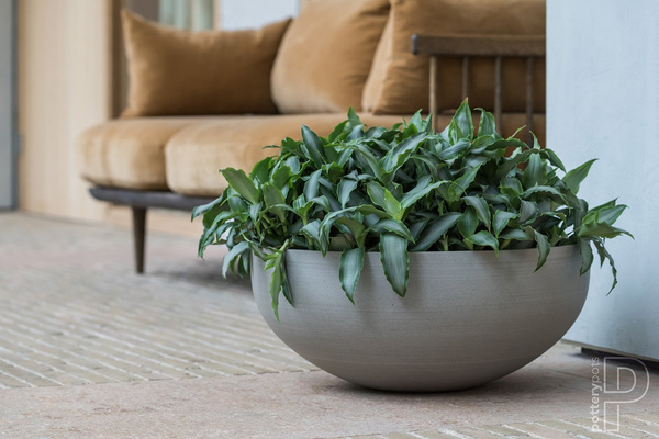 Morgana XXS 30/13 doniczka misa naturalna szara Clouded Grey