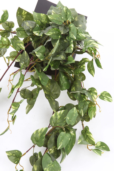 Sztuczny Scindapsus wiszący pnącze 80 cm