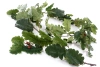 Sztuczne zielone liście Dębu pnącze girlanda 180 cm