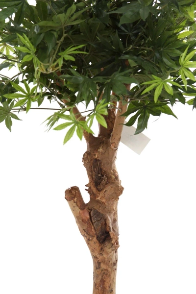 Sztuczny Klon Bonsai 85 cm zielony