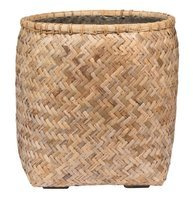 bamboo