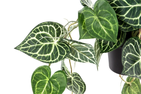 Sztuczne Anturium wiszące 80 cm w doniczce