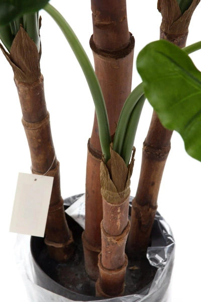 Sztuczna Alokazja Calidora 125 cm deluxe