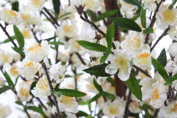 Sztuczna Wiśnia 170 cm kremowa