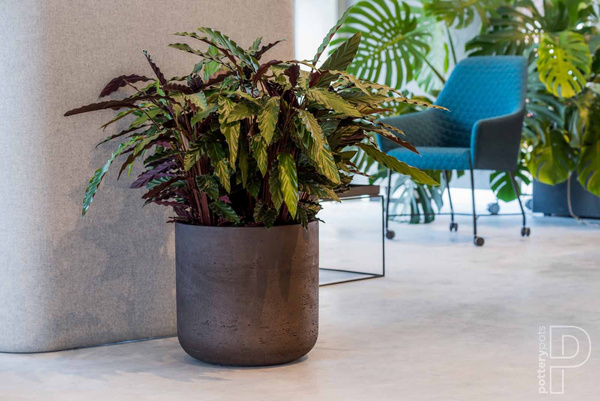 Charlie XL 32/31 złota donica cylindryczna kamienna