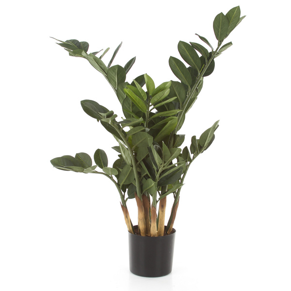 Sztuczna Zamia Zamioculcas Smaragd 66 cm 9 pędów