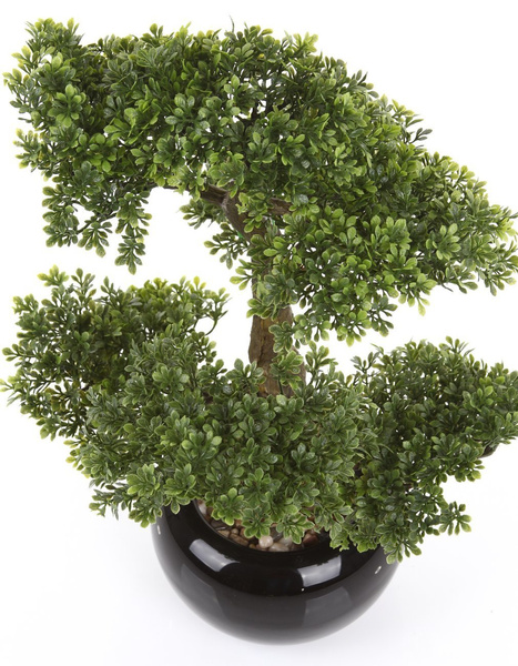 Sztuczne drzewko Bonsai Fikus mini 47 cm w czarnej ceramicznej doniczce