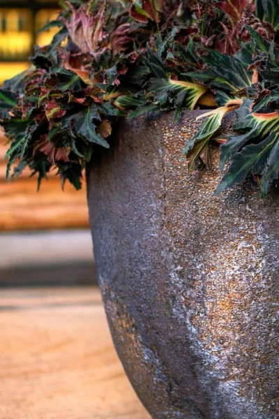 Jesslyn XS 42/36 osłonka naturalna ostryga brązowa