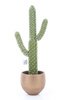 Sztuczny kaktus Saguaro Karnegia olbrzymia M 62 cm